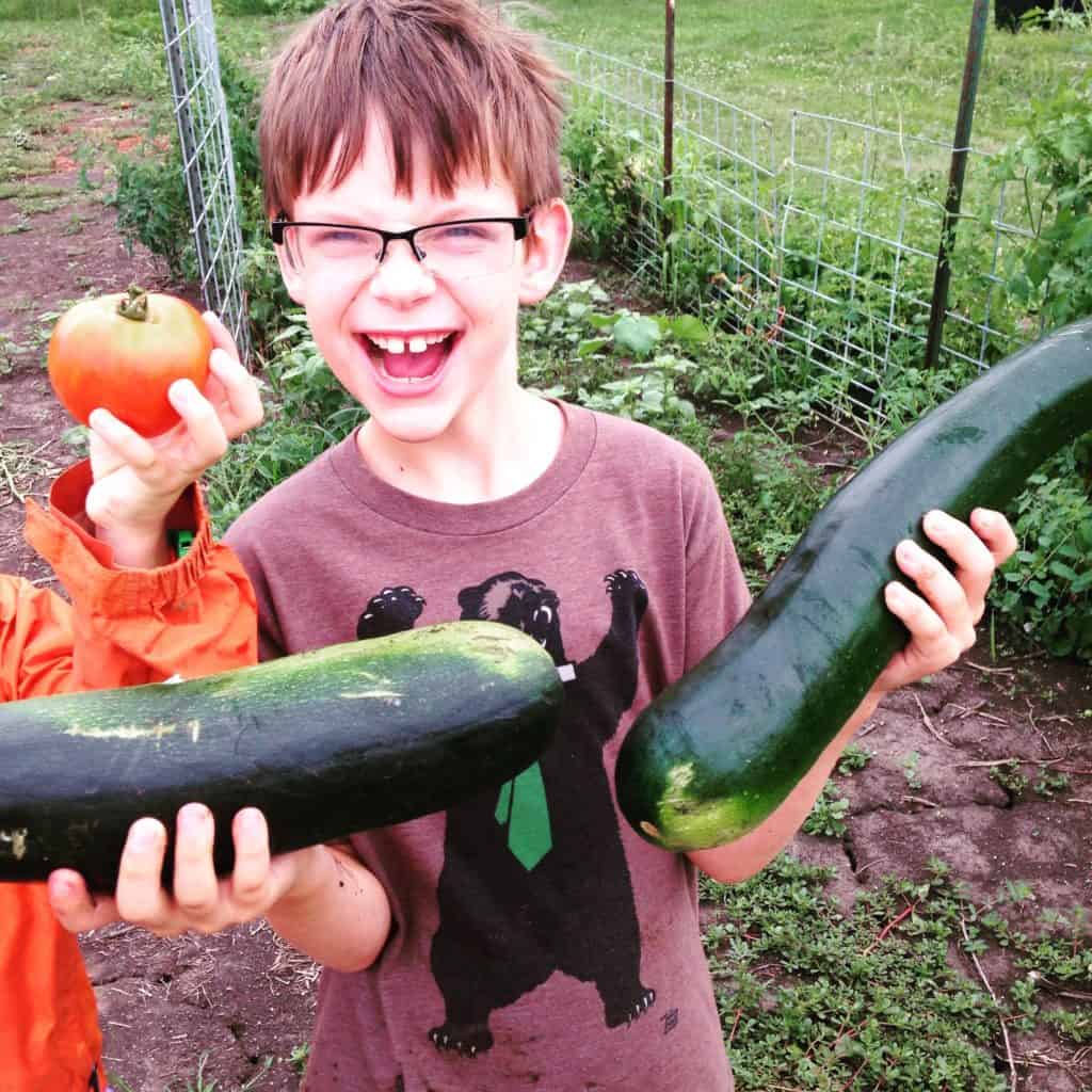 Ideas de comidas para la dieta para el TDAH, alimentar a tu hijo con TDAH, ideas de dietas para el TDAH