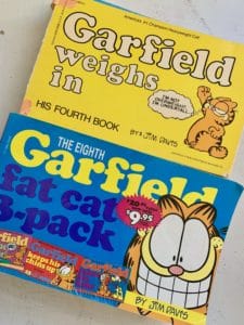 2 garfield comic books