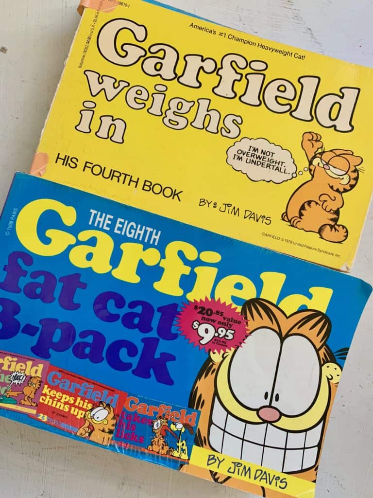 2 garfield comic books