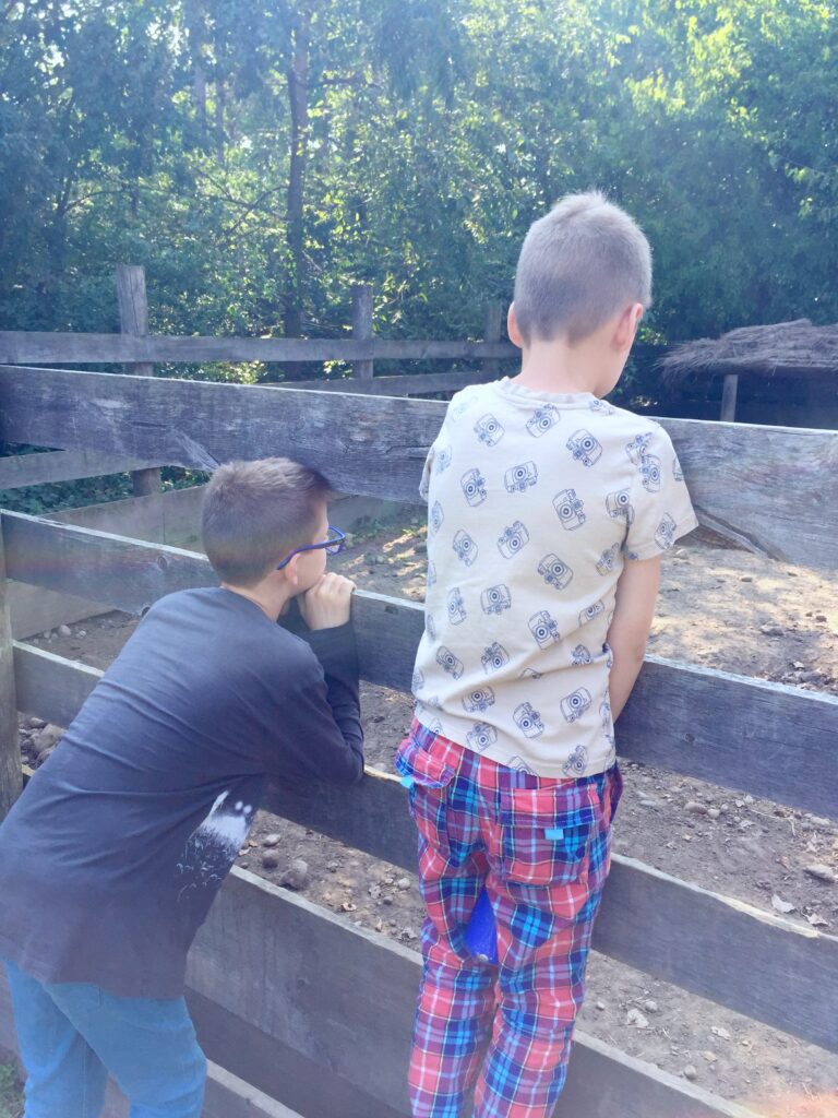 Positive Parenting Solutions for Angry Kids