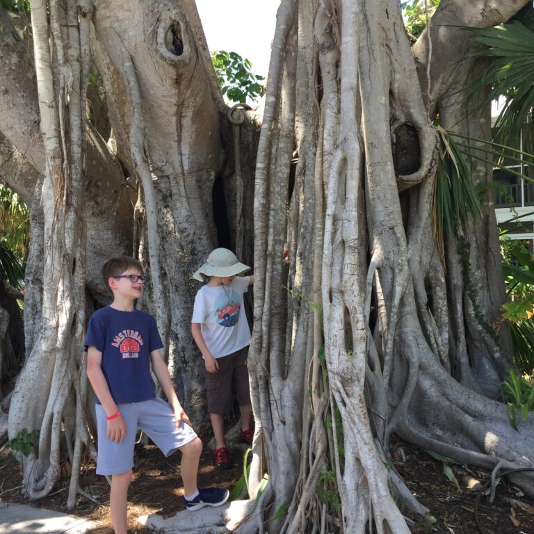 Summer  Reading Challenge for Kids 2026